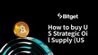 如何购买US Strategic Oil Supply